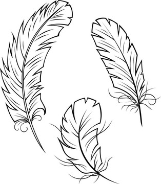 羽毛筆