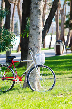 公園里的自行車