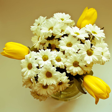 一束花