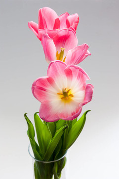 一束花