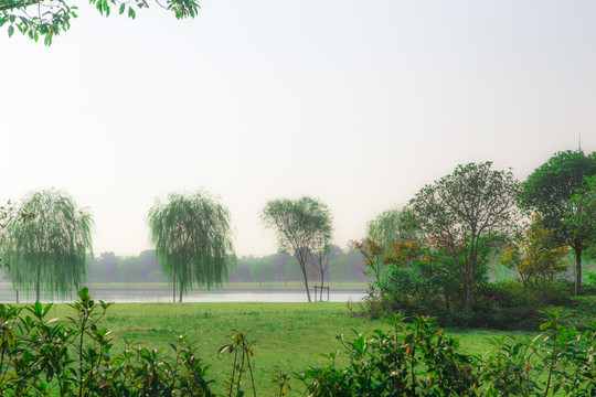 生態(tài)綠地