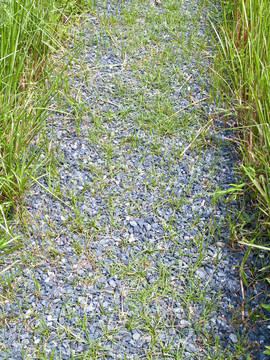 通路