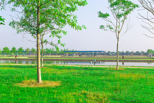 生態(tài)綠化 高清