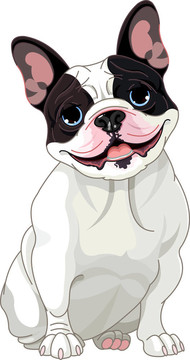 法國(guó)斗牛犬