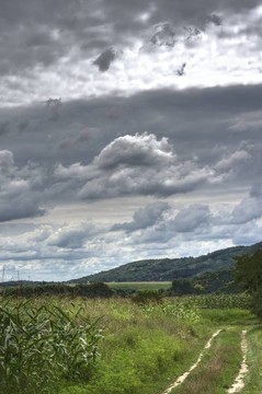 田野道路