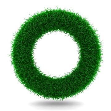 美麗的戒指從草地上孤立White
