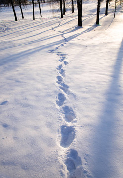 在雪的痕跡