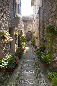 Spello；舊街