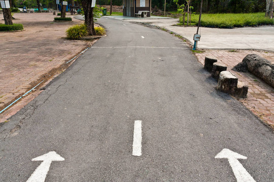 公園里的柏油路