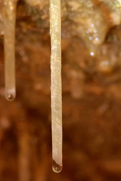 蘇打水吸管