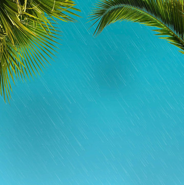 熱帶雨林