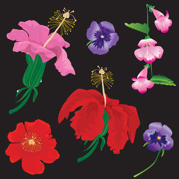 設(shè)置-芙蓉花開