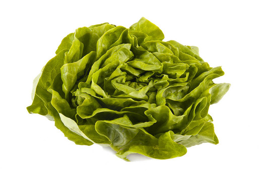 新鮮的生菜