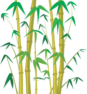 竹樹