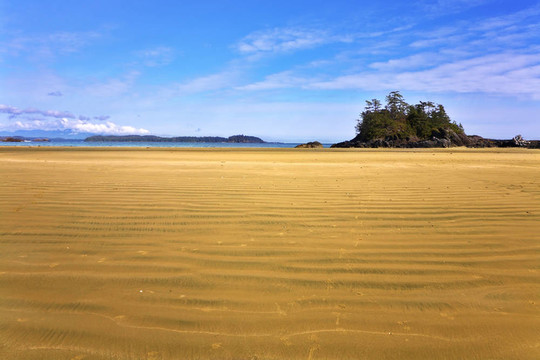 外流中的海洋海灘