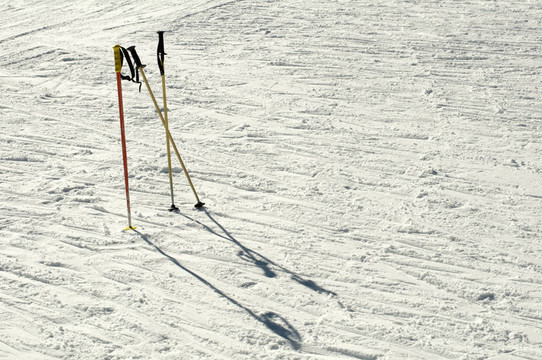 雪杖