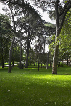 風(fēng)景如畫的公園Buen Retiro