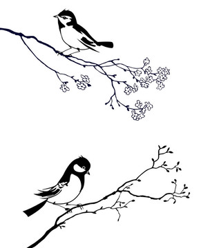 樹枝上鳥的剪影
