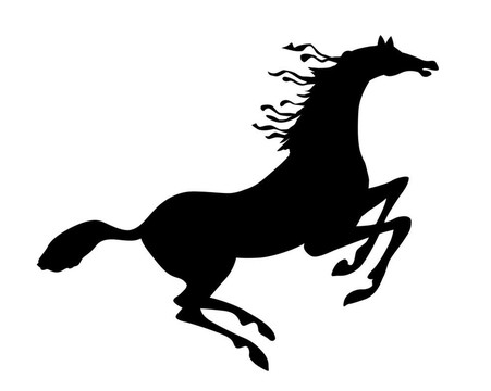 白色背景剪影馬