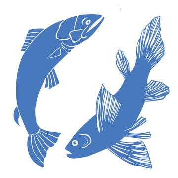 白底魚集