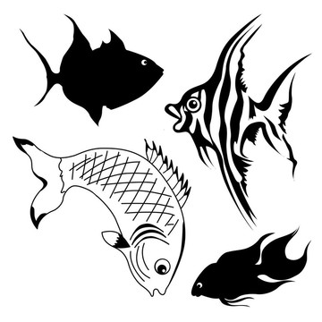 白底魚集