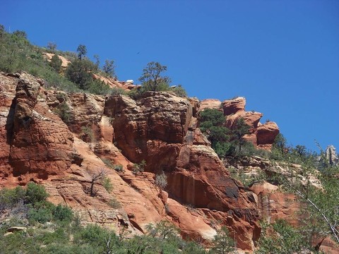 橡樹(shù)溪峽谷