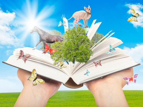人類手中的魔法書。