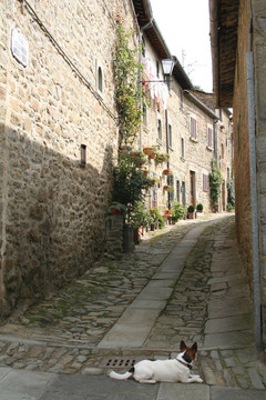 意大利.托斯卡納地區(qū)。Cortona鎮(zhèn)