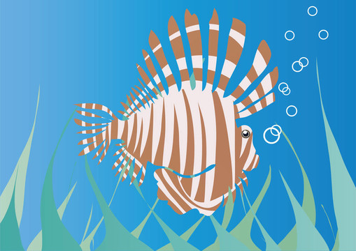 海刺猬