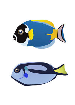 兩熱帶魚