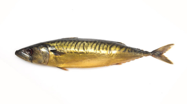 煙熏鯖魚(yú)
