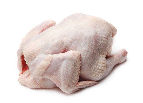 生雞肉中分離