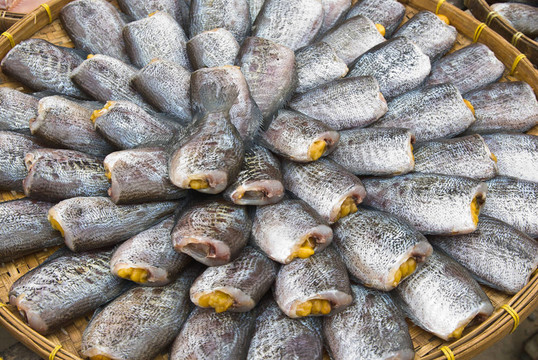 干Gourami fish