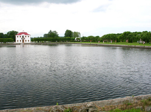 城市公園；池塘和樹木。