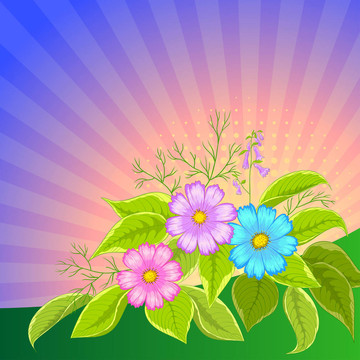 花朵背景輻射；宇宙