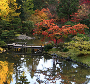 植物園16