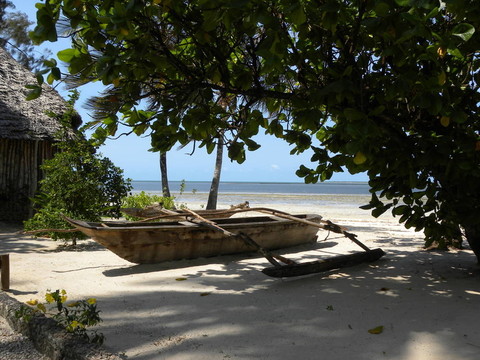 桑給巴爾海灘