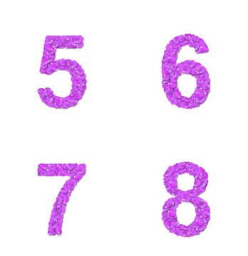 玫瑰花瓣字體