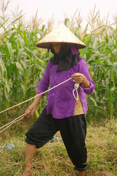 Kinh民族的祖母