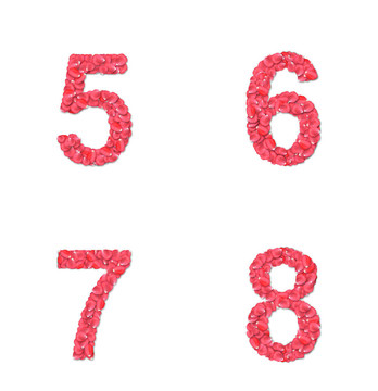 玫瑰花瓣字體