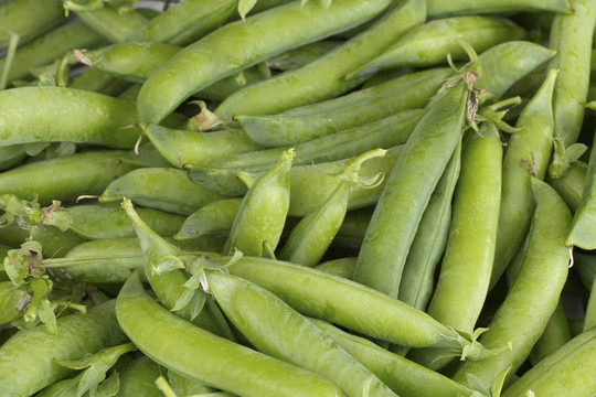 鮮豌豆莢