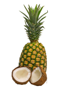 菠萝和椰子分离