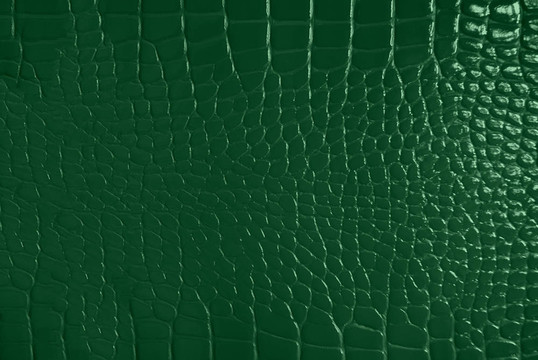 綠色皮膚的紋理