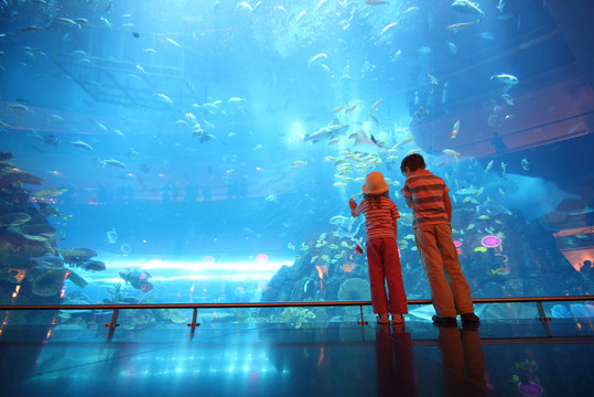 站在水下水族館隧道里的小男孩和女孩；從后面看
