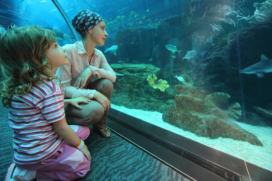 母親和女兒坐在水底水族館隧道的地板上