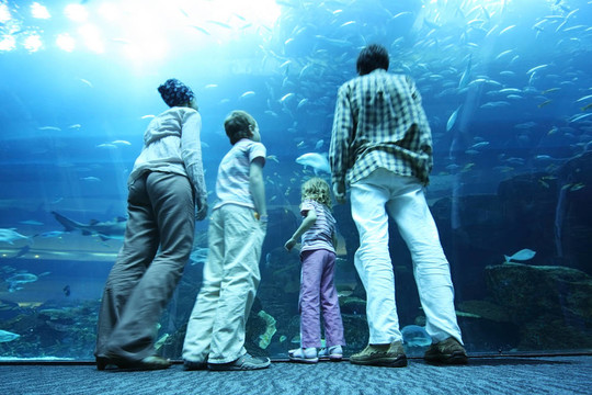 男孩和女孩的家庭站在水下水族館的隧道和看魚；從后面看；著眼于腿