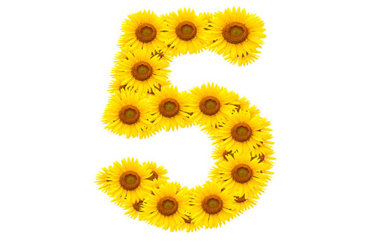 向日葵5號(hào)