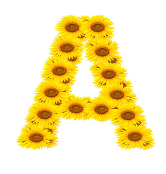 向日葵；字母