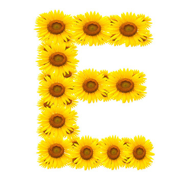 向日葵；字母E