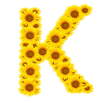向日葵；字母K